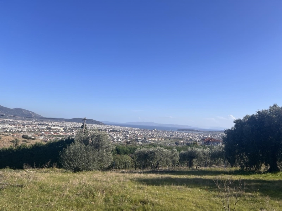 (Προς Πώληση) Αξιοποιήσιμη Γη Αγροτεμάχιο || Ν. Μαγνησίας/Νέα Ιωνία - 20.000 τ.μ, 250.000€ 